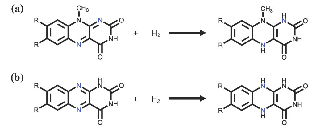 alloxazine redox